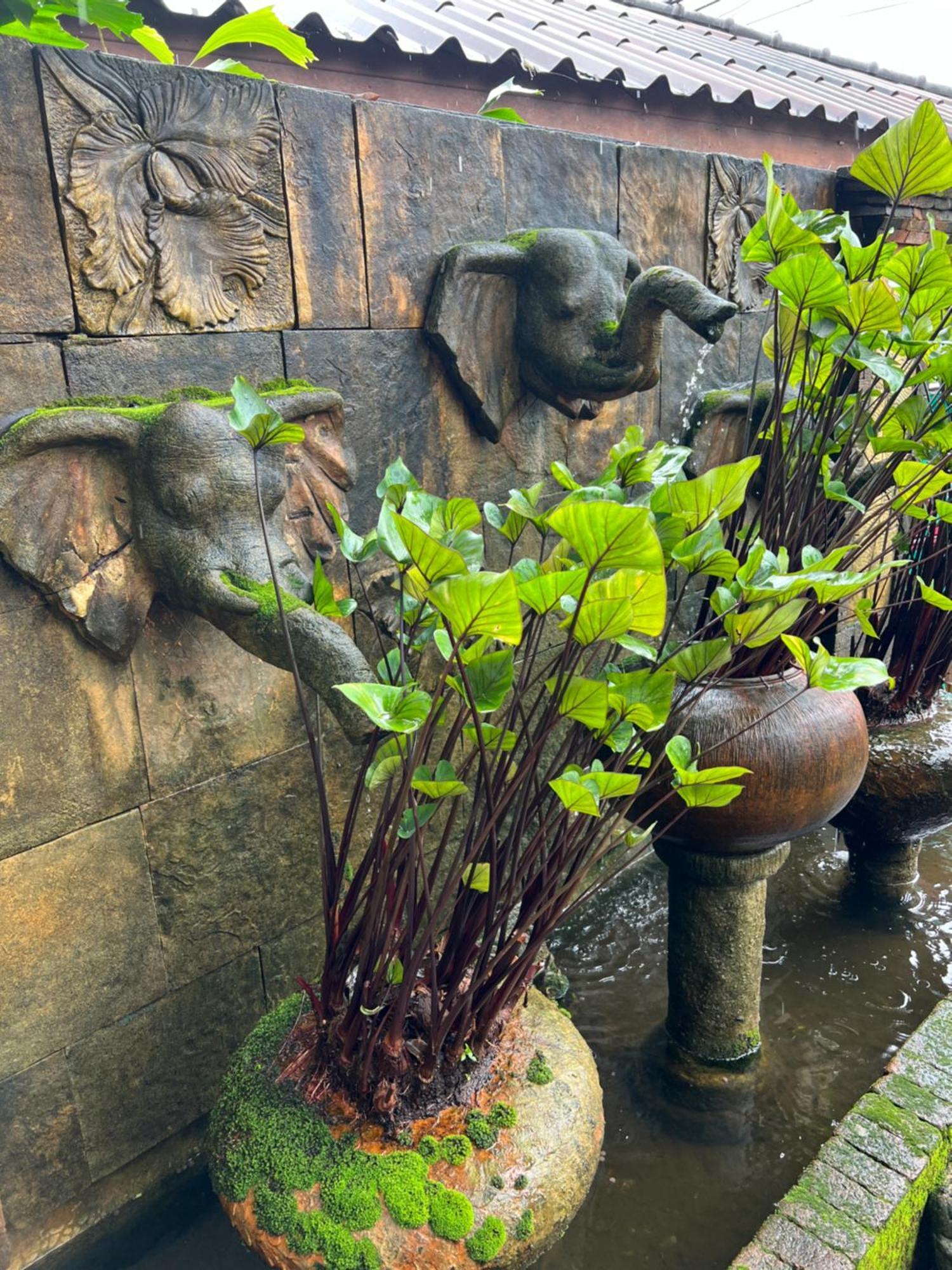 Baan Ton Rak Boutique Resort Koh Chang Zewnętrze zdjęcie