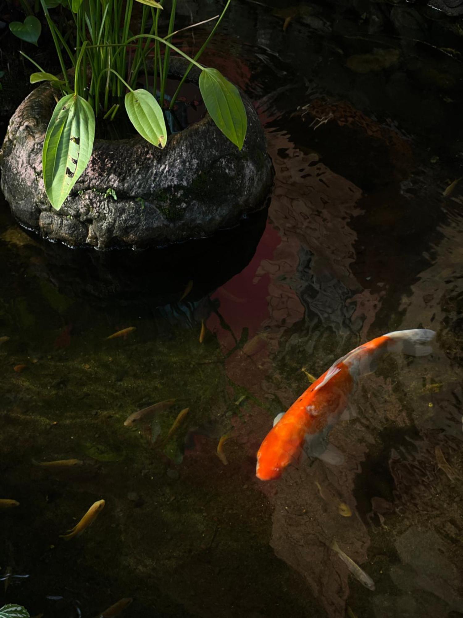 Baan Ton Rak Boutique Resort Koh Chang Zewnętrze zdjęcie