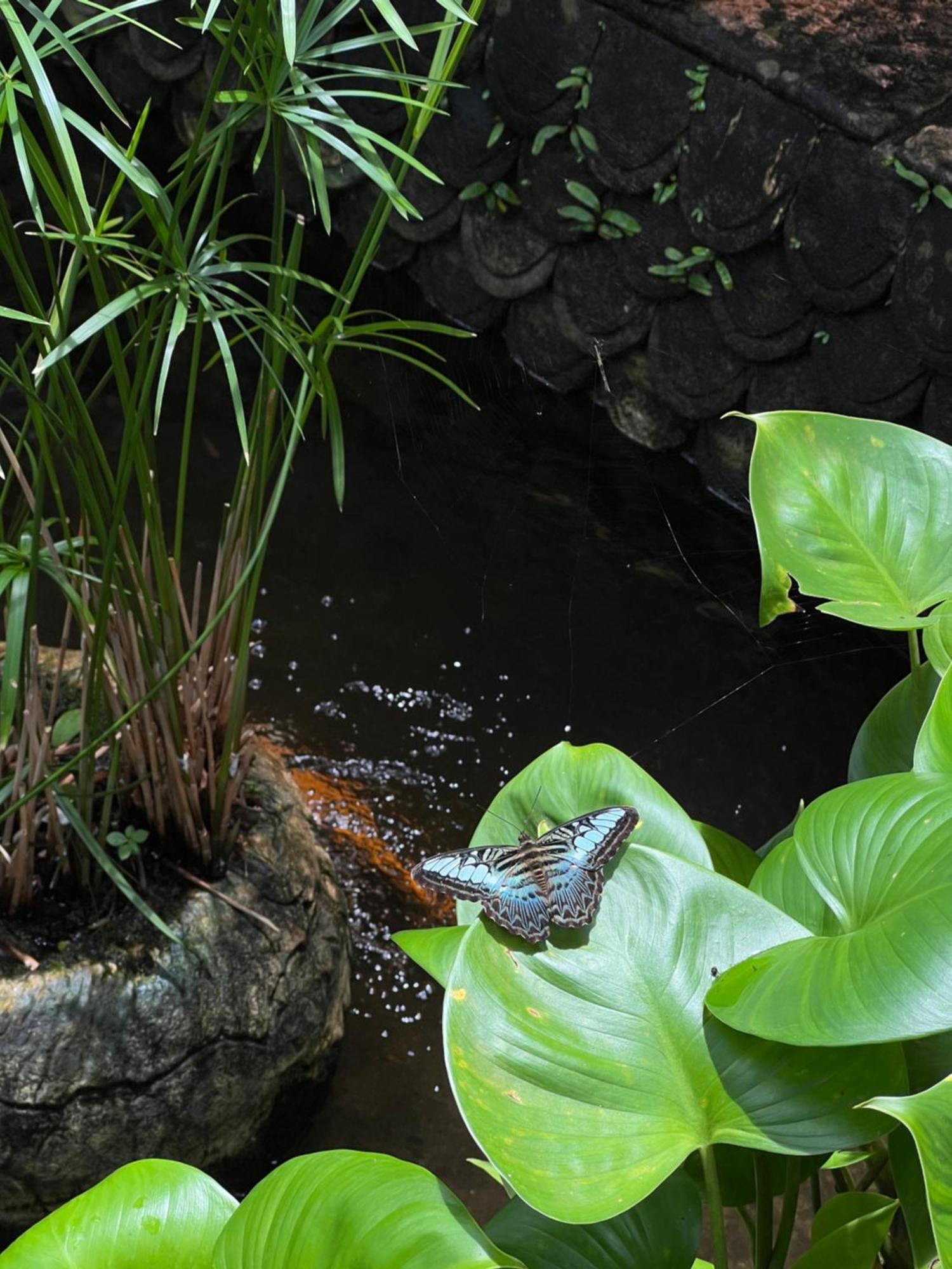 Baan Ton Rak Boutique Resort Koh Chang Zewnętrze zdjęcie