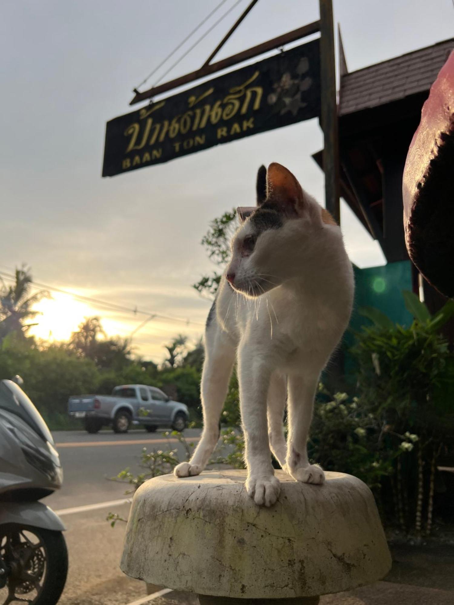 Baan Ton Rak Boutique Resort Koh Chang Zewnętrze zdjęcie
